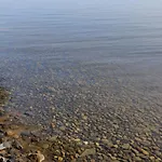 Traditional Finnish Lakeside Off-grid Chalet Joensuu