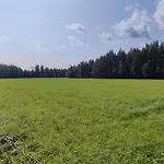 Chalet Traditional Finnish Lakeside Off-grid Joensuu