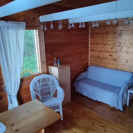 Traditional Finnish Lakeside Off-grid Joensuu