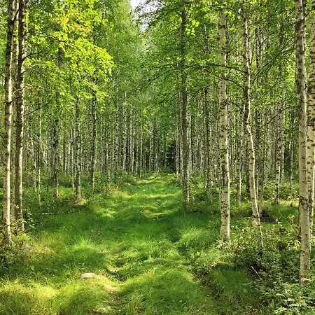Dağ evi Boat Required Traditional Finnish Lakeside Off-grid Island *