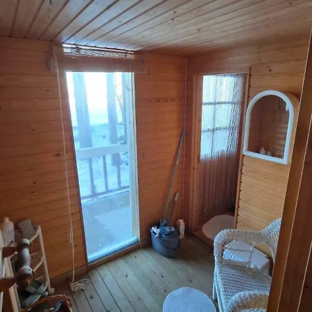 Chalet Traditional Finnish Lakeside Off-grid Island Joensuu
