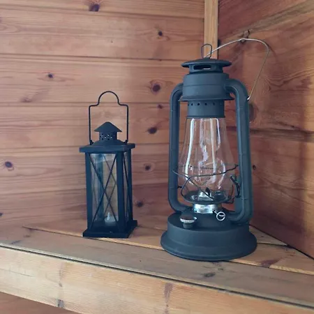 Chalet Traditional Finnish Lakeside Off-grid Island Joensuu