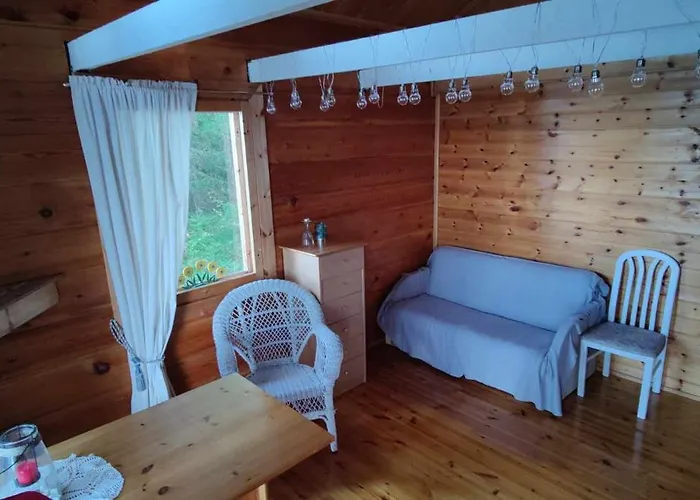 Traditional Finnish Lakeside Off-grid Joensuu