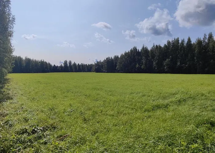 Chalet Traditional Finnish Lakeside Off-grid Joensuu